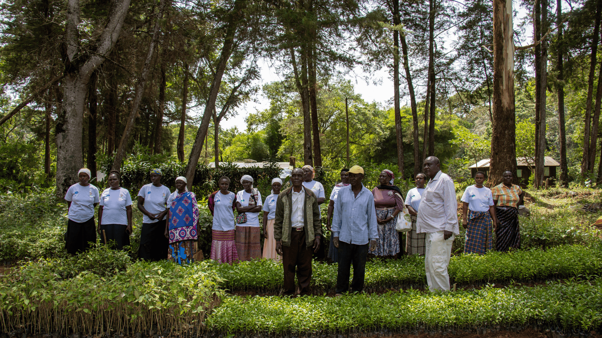 Empowering Communities to Protect Forests and Improve Livelihoods in Kakamega
