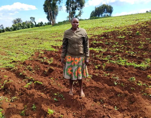 SHE WAS NOT GOING TO LOSE HER FATHER’S LAND