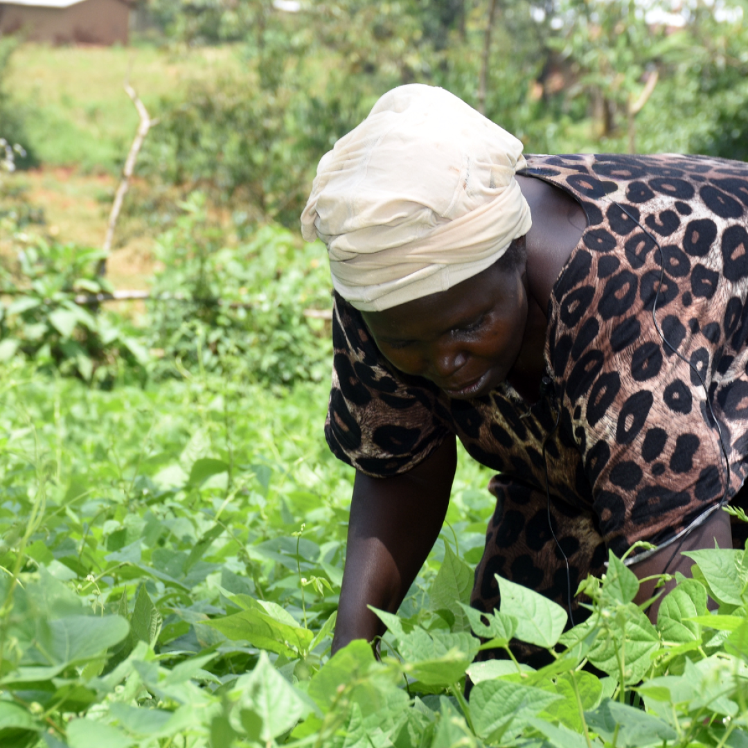 ADS WESTERN TECHNOLOGIES SLIDER